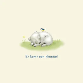 Felicitatiekaartje ijsbeertje met pimpelmees