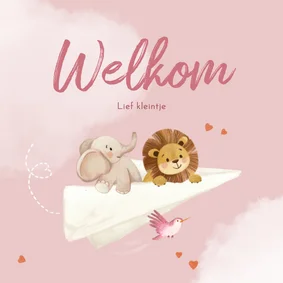 Felicitatiekaartje meisje met dieren en papieren vliegtuigje