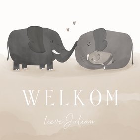 Felicitatiekaartje volwassen olifanten met babyolifantje