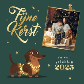 'Fijne kerst' fotokaart teckel sterren goud lampjes