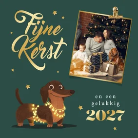 'Fijne kerst' fotokaart teckel sterren goud lampjes