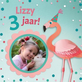 Flamingo feestje