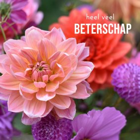 Fleurige beterschapskaart met een foto van dahlia bloemen