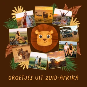 Fotokaart vakantie groetjes uit Zuid Afrika leeuw