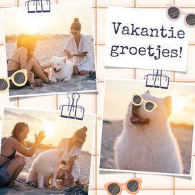 Fotokaart vakantiegroetjes wandrek foto's en klemmetjes