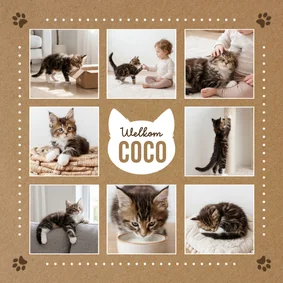 Fotokaart welkom kat kitten aankondiging