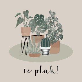 Fryske felicitatiekaart nieuwe woning planten