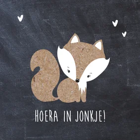 Fryske kaart geboorte zoon vos