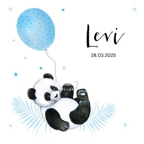 Geboorte panda ballonnetje