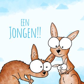 Geboortefelicitatie jongen - Kangoeroes met kleintje