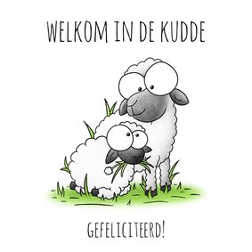 Geboortefelicitatie lammetje - Welkom in de kudde!