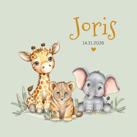 Geboortekaart giraf leeuw olifant groene achtergrond
