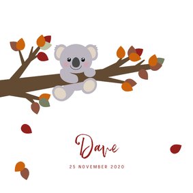 Geboortekaart herfst lief koalabeertje 