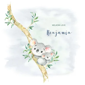 Geboortekaart jongen koala in boom