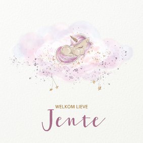 Geboortekaart meisje eenhoorn