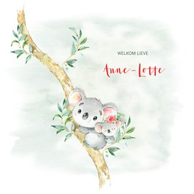 Geboortekaart meisje koala met bloem