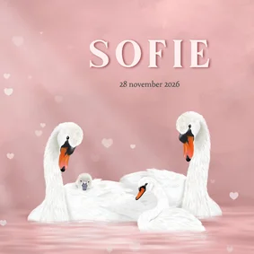 Geboortekaart meisje met zwanen