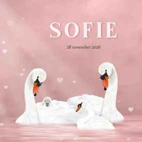 Geboortekaart meisje met zwanen