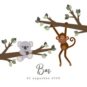 Geboortekaart met een lief ontwerp van een aapje en koala
