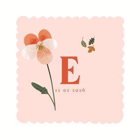 Geboortekaart met geboortebloem februari viooltje