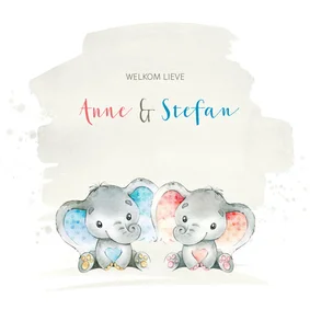 Geboortekaart met olifant tweeling j/m