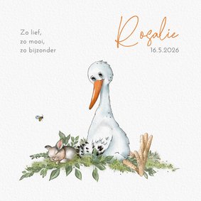 Geboortekaart ooievaar met konijntje