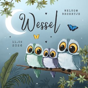 Geboortekaartje 3e kindje jongen uiltjes dieren nacht maan