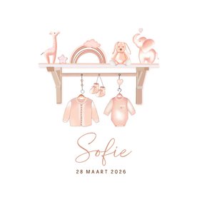 Geboortekaartje babyspulletjes plankje