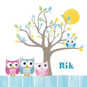 Geboortekaartje broer uiltjes