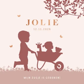 Geboortekaartje broertje kruiwagen en baby meisje