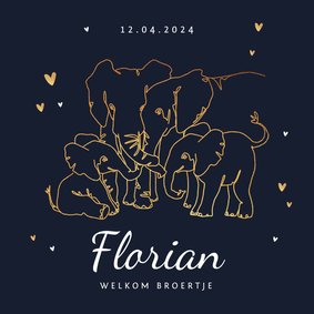 Geboortekaartje broertje zusje dieren olifant goud hartjes