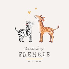 Geboortekaartje broertje zusje giraf zebra hartje goud