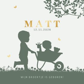 Geboortekaartje broertjes kruiwagen