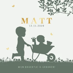 Geboortekaartje broertjes kruiwagen