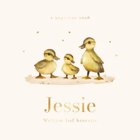 Geboortekaartje derde kindje eendjes lief goud hartjes