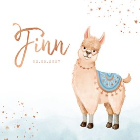 Geboortekaartje dieren alpaca waterverf hartjes koper jongen