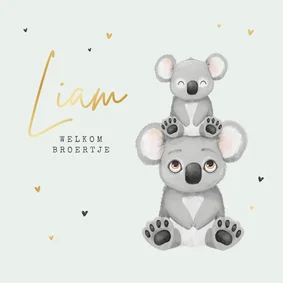 Geboortekaartje dieren koala broertje zusje hartjes goud