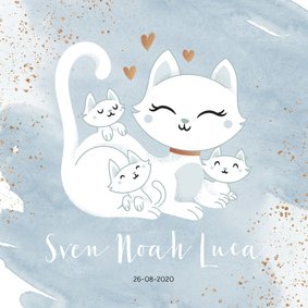 Geboortekaartje drieling meerling jongens poes met kittens