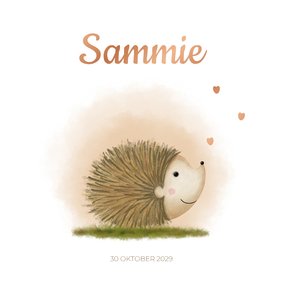 Geboortekaartje egeltje Sammie met hartje