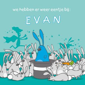 Geboortekaartje grappig met konijntjes blauw