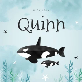 Geboortekaartje hip lief dieren orka zee oceaan 