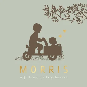 Geboortekaartje houten bakfiets met broertjes