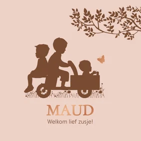 Geboortekaartje houten bakfiets zusje