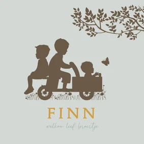 Geboortekaartje houten bakfietsje met broertjes