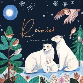 Geboortekaartje ijsberen familie maan en sneeuw