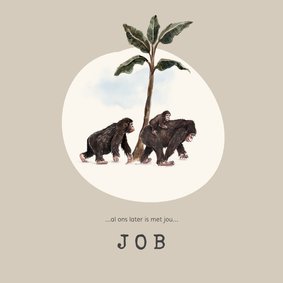 Geboortekaartje jungle met apen en klein aapje