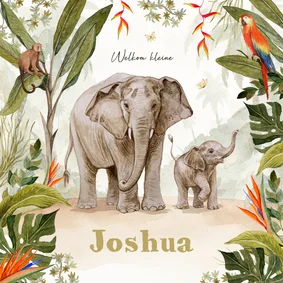 Geboortekaartje jungle olifanten baby schattig unisex