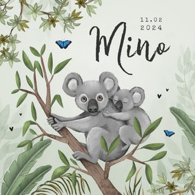 Geboortekaartje koala jungle baby groen vlinders