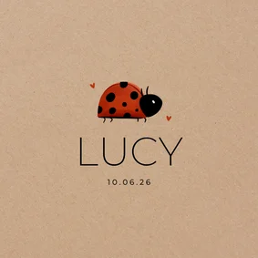 Geboortekaartje kraftlook lieveheersbeestje minimalistisch