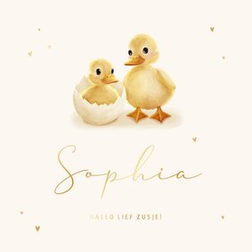 Geboortekaartje kuikentje in ei met broertje of zusje